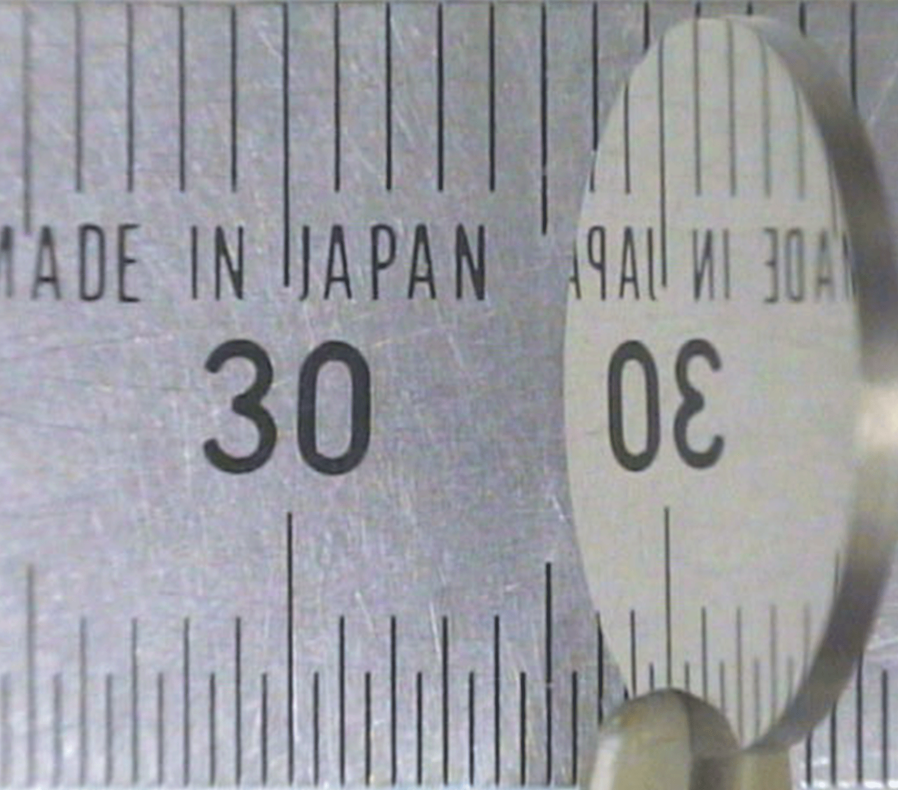 タングステン　鏡面加工