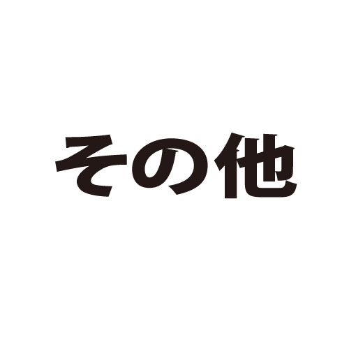その他